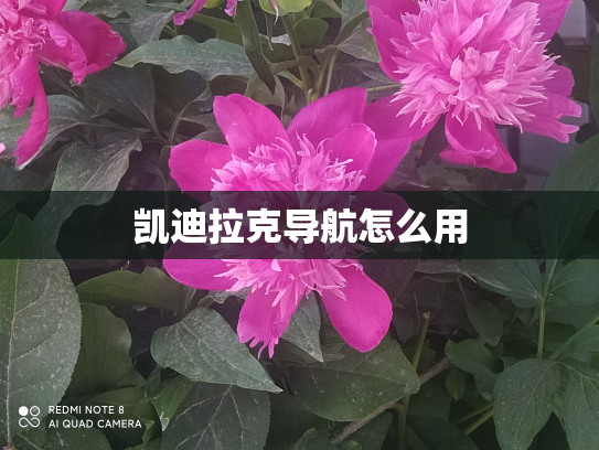 凯迪拉克导航怎么用