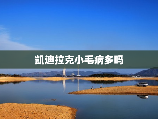 凯迪拉克小毛病多吗