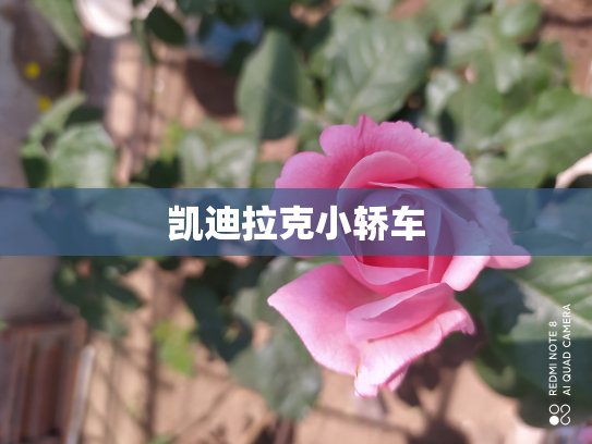 凯迪拉克小轿车