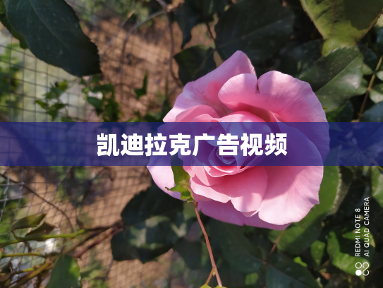 凯迪拉克广告视频