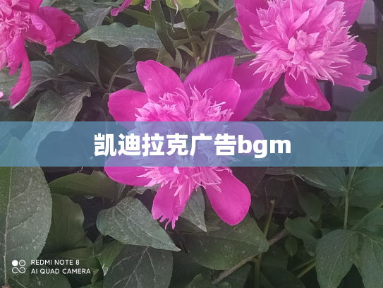 凯迪拉克广告bgm