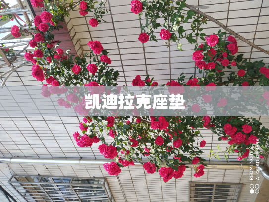 凯迪拉克座垫