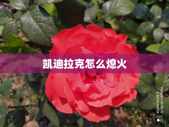 凯迪拉克怎么熄火
