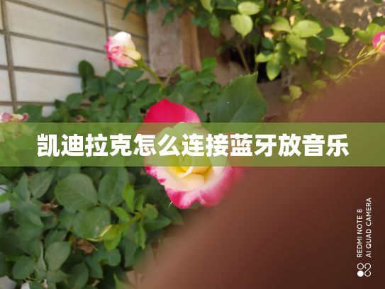 凯迪拉克怎么连接蓝牙放音乐