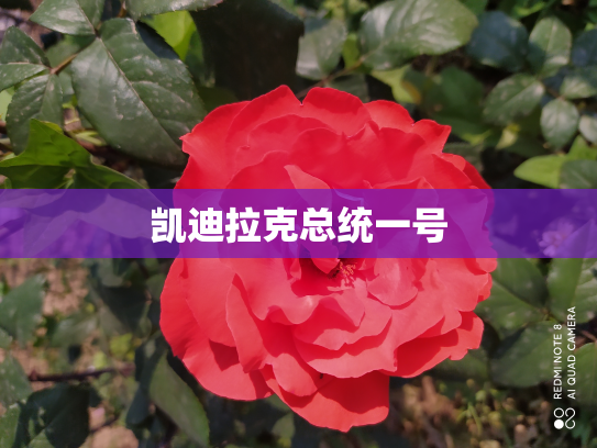 凯迪拉克总统一号