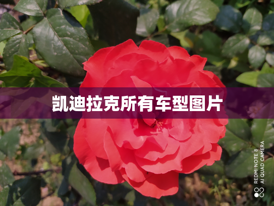 凯迪拉克所有车型图片