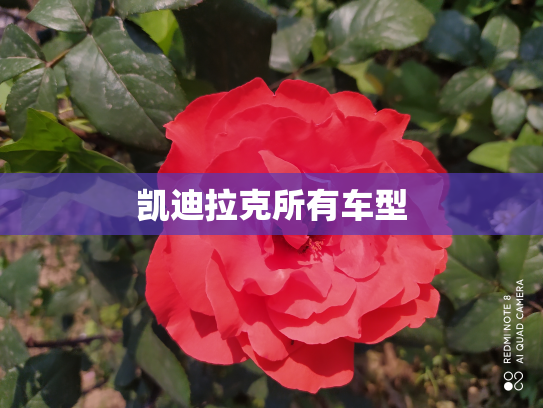 凯迪拉克所有车型