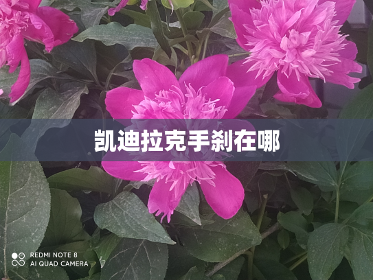 凯迪拉克手刹在哪