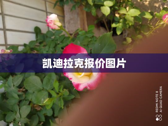 凯迪拉克报价图片