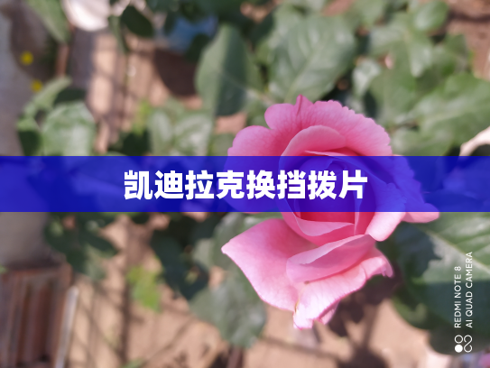 凯迪拉克换挡拨片
