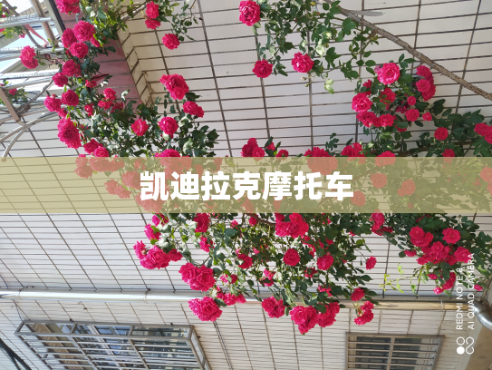 凯迪拉克摩托车