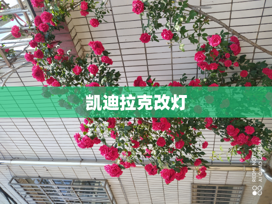 凯迪拉克改灯