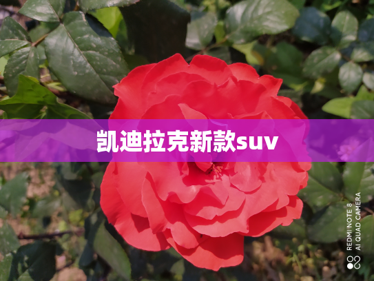 凯迪拉克新款suv