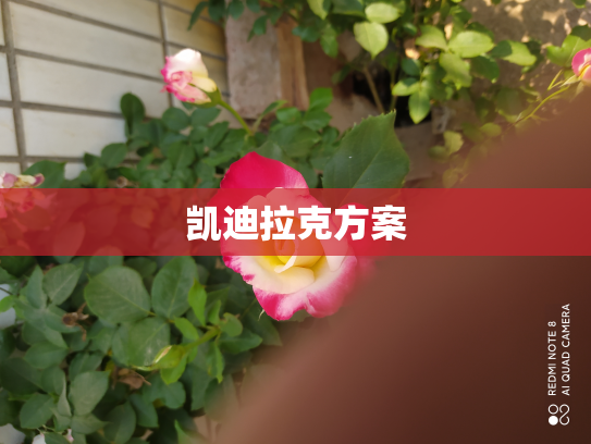 凯迪拉克方案