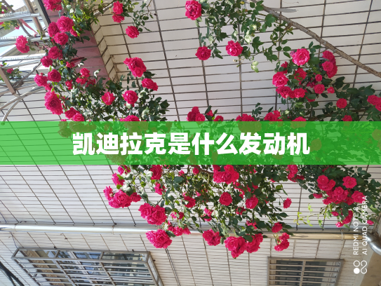 凯迪拉克是什么发动机