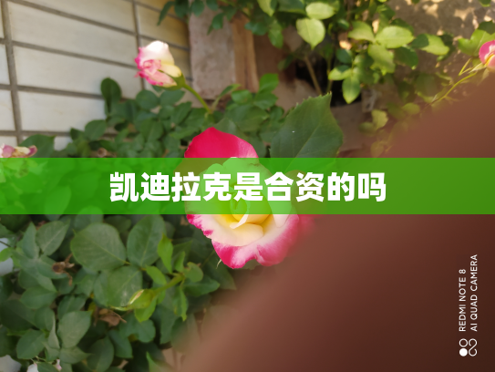 凯迪拉克是合资的吗