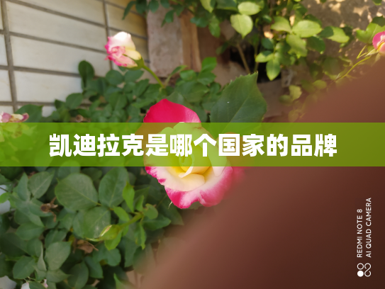 凯迪拉克是哪个国家的品牌