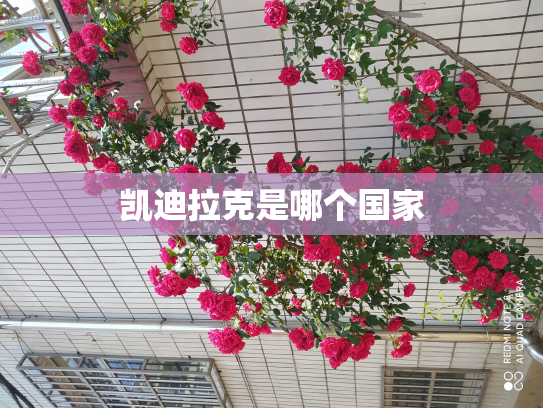 凯迪拉克是哪个国家