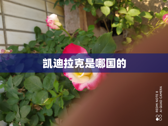 凯迪拉克是哪国的