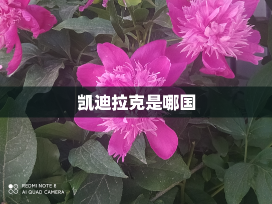 凯迪拉克是哪国