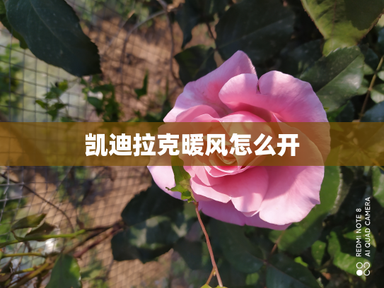 凯迪拉克暖风怎么开