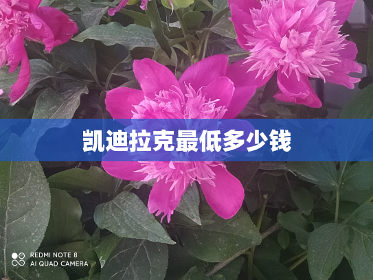 凯迪拉克最低多少钱