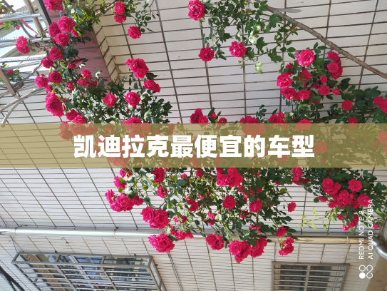 凯迪拉克最便宜的车型