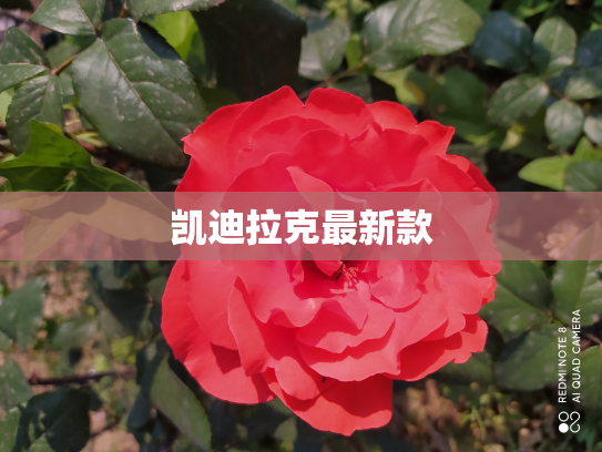 凯迪拉克最新款