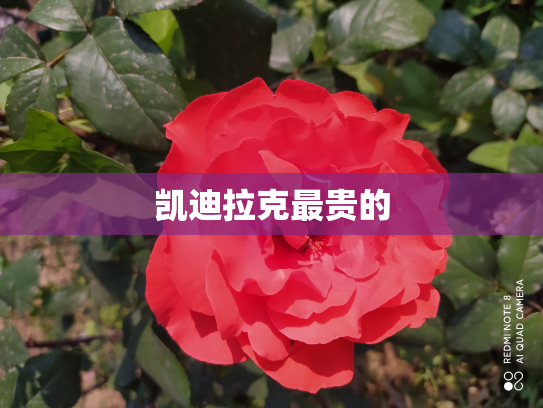凯迪拉克最贵的