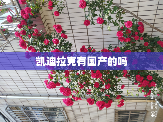 凯迪拉克有国产的吗