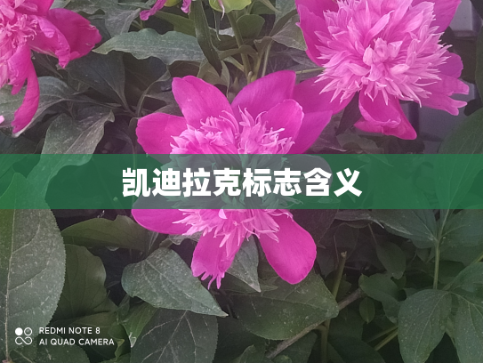 凯迪拉克标志含义
