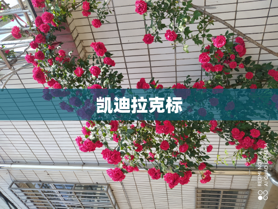凯迪拉克标