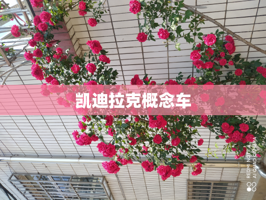 凯迪拉克概念车