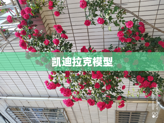 凯迪拉克模型