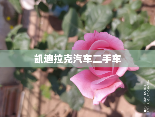 凯迪拉克汽车二手车