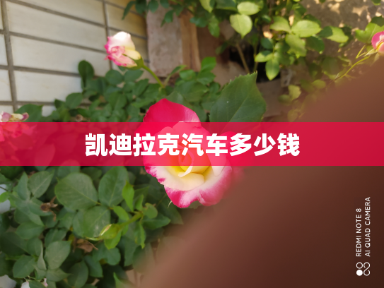 凯迪拉克汽车多少钱