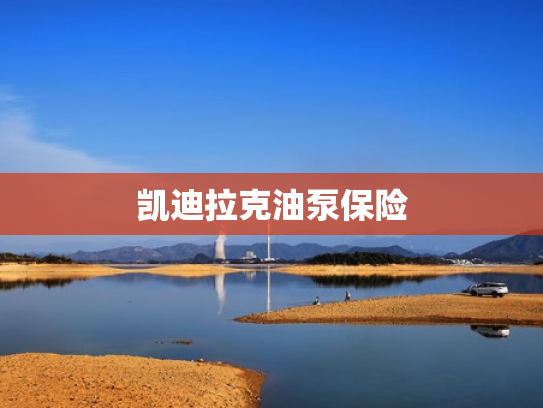 凯迪拉克油泵保险