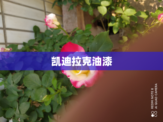 凯迪拉克油漆