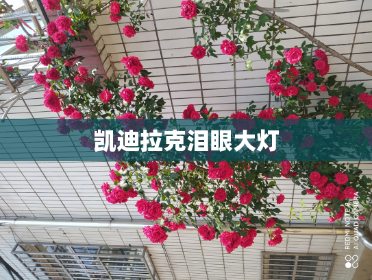 凯迪拉克泪眼大灯