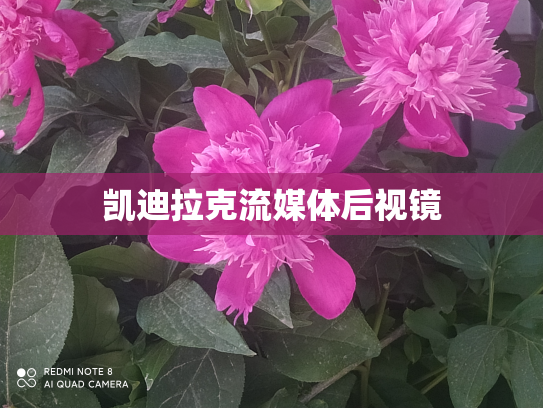 凯迪拉克流媒体后视镜