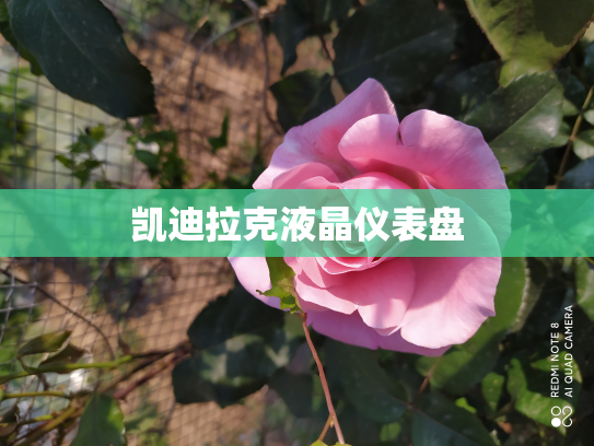 凯迪拉克液晶仪表盘