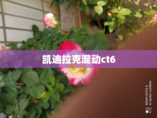 凯迪拉克混动ct6