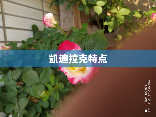 凯迪拉克特点