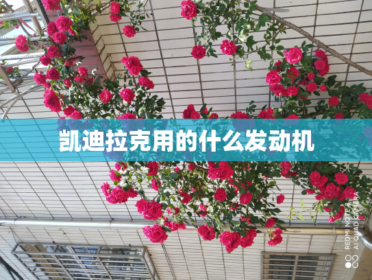 凯迪拉克用的什么发动机