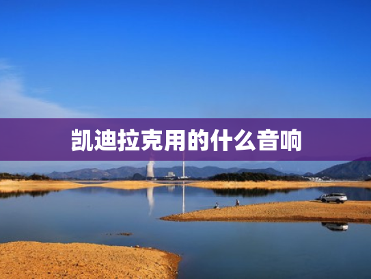 凯迪拉克用的什么音响