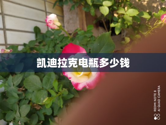 凯迪拉克电瓶多少钱