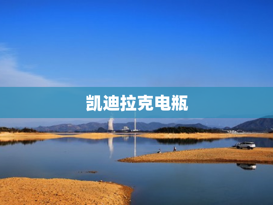 凯迪拉克电瓶
