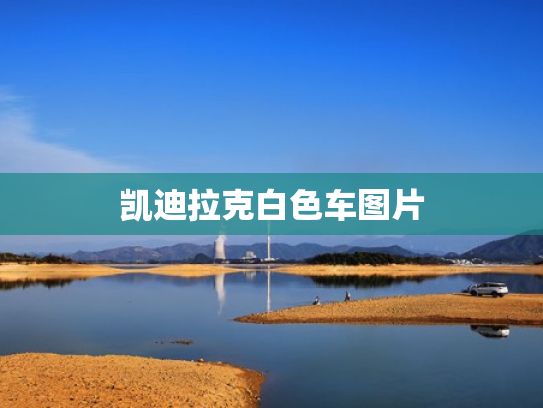 凯迪拉克白色车图片