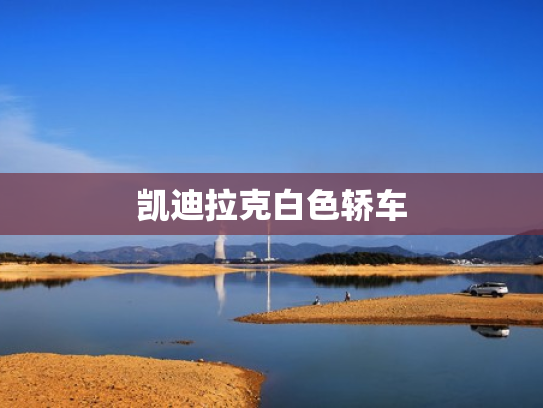 凯迪拉克白色轿车
