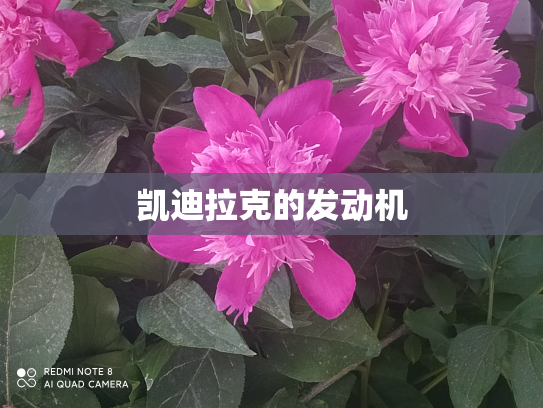凯迪拉克的发动机